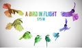 Rainbow bird in motion. Low-poly Royalty Free Stock Photo