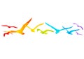 Rainbow birds