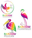 Rainbow birds.