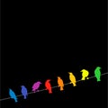 Rainbow birds on a wire Royalty Free Stock Photo