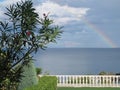 Rainbow and blooming oleander with green foliage and pink flowers against the background of the sea, blue sky with clouds Royalty Free Stock Photo