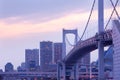 Rainbow Bridge and city skyline at Odaiba, Tokyo