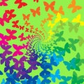 Rainbow butterflies