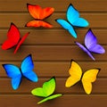Rainbow butterflies