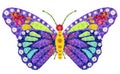 Rainbow butterfly is considered an endangered species isolated floral