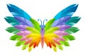 Rainbow butterfly