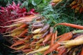 Rainbow carrots Royalty Free Stock Photo