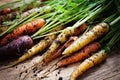 Rainbow carrots