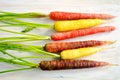 Rainbow carrots horizontal Royalty Free Stock Photo