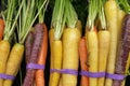 Rainbow Carrots Royalty Free Stock Photo