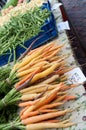 Rainbow Carrots & Stringbeans at Farm Market