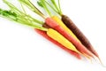 Rainbow carrots on white background Royalty Free Stock Photo