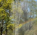 Rainbow caught in the water spray of a park fountain