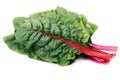 Rainbow chard Royalty Free Stock Photo