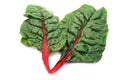 Rainbow chard Royalty Free Stock Photo