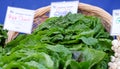 Rainbow chard at farmers' market