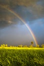 Storm and Rainbow Over Sugar Cane Farm Royalty Free Stock Photo