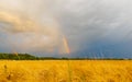 Rainbow over field of ripe wheat Sweden Royalty Free Stock Photo