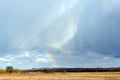 Rainbow on cloudy sky over field of yellow grass and black earth, trees along electricity line, spring Royalty Free Stock Photo