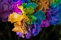 Colorful flowers rainbow carnations. Royalty Free Stock Photo