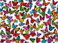 Rainbow color multiple butterfly isolated on white background 4 Royalty Free Stock Photo