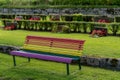 Rainbow colored bench standing in a cemetery