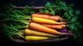 Rainbow colored carrot display, creatively captured in a basket