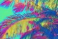 Rainbow colored coco palm leaf on neon background. Tropical nature digital illustration. Exotic island landscape Royalty Free Stock Photo
