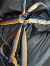 Rainbow colored party strap