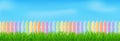 Rainbow colored picket fence and green grass Royalty Free Stock Photo