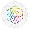 Rainbow colored Seed of Life in gray Flower of Life Royalty Free Stock Photo