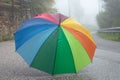 Rainbow colored umbrella on the street on rainy day in autumn