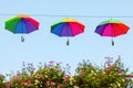 Rainbow colored umbrellas at a line Royalty Free Stock Photo