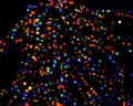 Rainbow colorful blur christmas lights background.abstract Lights unfocused blur light dots black Royalty Free Stock Photo