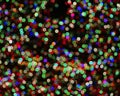 Rainbow colorful blur christmas lights background.abstract Lights unfocused blur light dots black Royalty Free Stock Photo