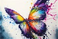 Rainbow colorful butterfly colourful Royalty Free Stock Photo