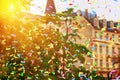 Rainbow colors confetti at event for the protection of human rights and civil equality - LGBT Pride Parade