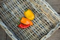 Rainbow coloured sweet capsicums Royalty Free Stock Photo