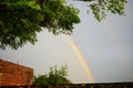 Rainbow Colourful Green Tree Sky