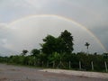 Rainbow country tree road