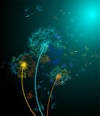 Rainbow dandelions in the wind on black background - vector. Royalty Free Stock Photo