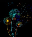 Rainbow dandelions in the wind on black background - vector.