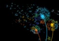 Rainbow dandelions in the wind on a dark background Royalty Free Stock Photo