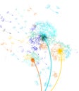 Rainbow dandelions in the wind on white background - vector.