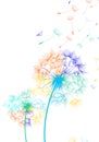 Rainbow dandelions in the wind on white background - vector. Royalty Free Stock Photo