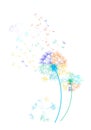 Rainbow dandelions in the wind on white background - vector.