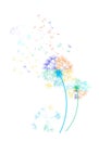 Rainbow dandelions in the wind on white background - vector. Royalty Free Stock Photo