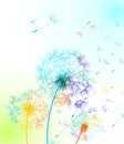 Rainbow dandelions in the wind on white background - vector. Royalty Free Stock Photo