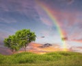 Rainbow on Dramatic sunset sky green field and trees nature landscape Royalty Free Stock Photo