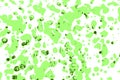 Rainbow drops and streaks of light green paint on a white background. Art image. Abstraction